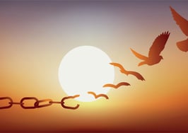 How top teams set themselves free!