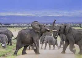 Mike DelPrete: The top threat to real estate portals