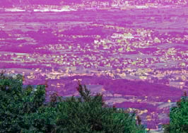 50% of agents will leave: One broker predicts real estate's future