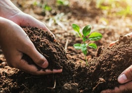 How this franchise is growing its business by planting trees