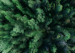 Make life easier by recycling! 10 ways to reuse evergreen content