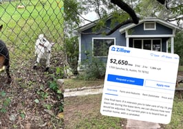 Man offers discounted rent for dog-sitting, draws internet outrage