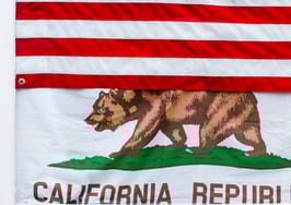 Meet the 2 agents on California's gubernatorial recall election ballot