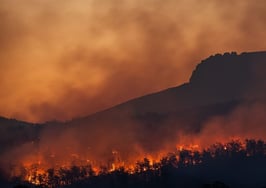 RealScout adds ClimateCheck data to platform