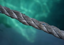 Agents should probably learn to play nice with institutional investors