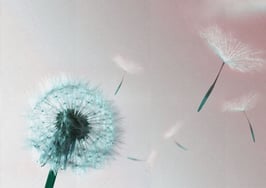 From cold to sold: Here’s how to take your business to the next level