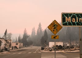 'Our office completely burned down': Agents flee as homes go up in flames