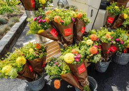 5 tips for making a splash in a new market