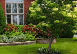 Turn up the curb appeal: 11 ideas for getting your listing sold