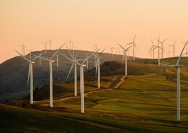 California's Red Oak Realty goes green
