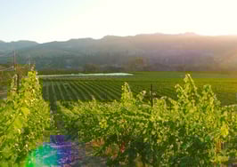 NorCal Better Homes and Gardens, Coldwell Banker franchises merge