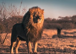 Who is your client? 4 personality types to watch for