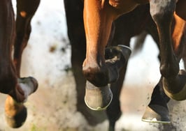 IBuyers on track to have record-setting sales in Q3