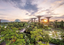 How the pandemic sharpened global focus on rewilding our urban spaces