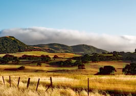 Compass is sweeping down the plains with new Ranch Division