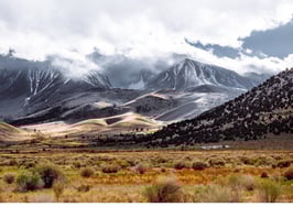 Vacation home sales tally Q4 2021 rebound: Pacaso