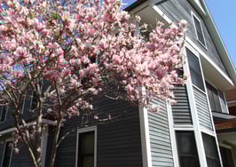 7 hot spring market tips to boost business and keep burnout at bay