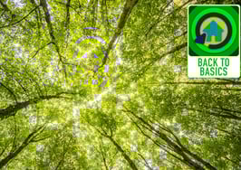 7 secrets to sustainable team growth