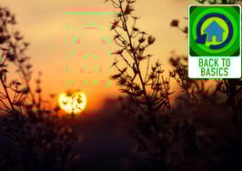 Do you have thick skin? 5 obstacles new agents face