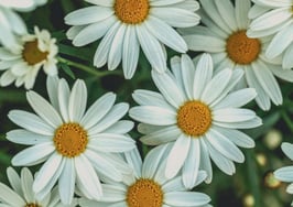 7 ways to thrive (not just survive) in a shifting market