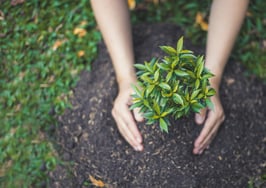 Don't stunt your growth! 7 truths to embrace now