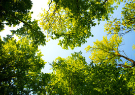 9 low-cost and no-cost ways to grow your business