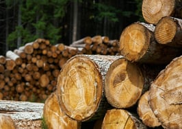 Knock on wood: Cost of lumber drops back to pre-pandemic levels