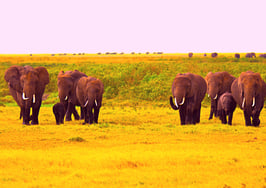 How to convert leads so you’re eligible for exclusive lead networks