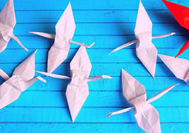 How to execute on giving your team what they need to grow
