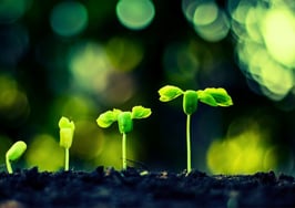 7 things that must decrease for your business to increase