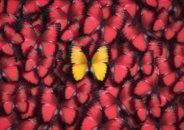 Are you truly a market pro? 3 ways to stand out in a sea of agent 'experts'