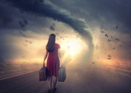 Don't get it twisted: How to untangle the new market conditions and build back