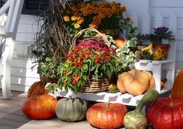 7 front porch decorating tips you autumn know