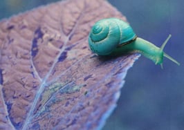 3 ways to think longer-term marketing strategies