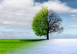 Change or lose it all: 3 steps for shifting when it matters most