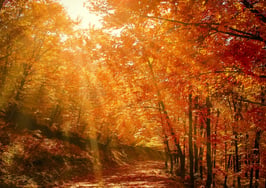 8 creative fall events you still have time to pull off