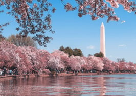 Douglas Elliman to expand into nation's capital