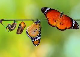 Do these 7 things to transform your life — and business — forever