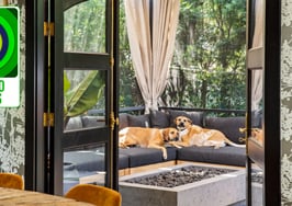 Need a way to differentiate your service? Design