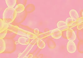 How scary is a contagion? Imagine if everyone sold their house at once