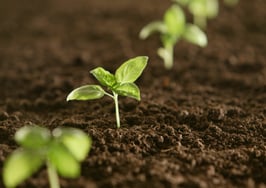 How to combine short, medium and long-term real estate investments