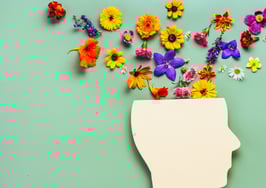 What the latest Fed survey data tells us about consumer psyches