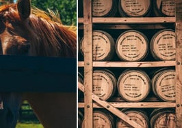 Christie's heads to bourbon country with affiliate in Lexington