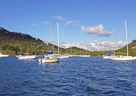 Christie's brings on Islandia as new affiliate in US Virgin Islands