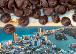 Miami Realtors sweetens tech recipe with Chocolatechips.ai