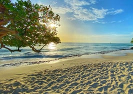Christie's International Real Estate enters Aruba with new affiliate