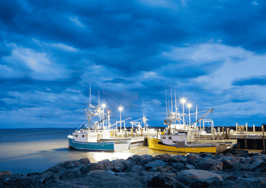 Everything shows during low tide: 3 business lessons from nature