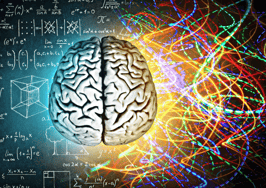 Are you a right-brain or left-brain real estate entrepreneur?