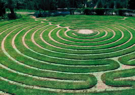 Manifest success: Unleash the power of intention setting