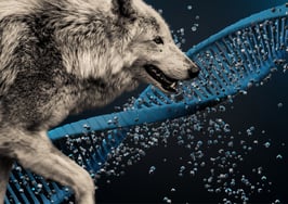 In 2024, Lone Wolf customers to experience next-generation products
